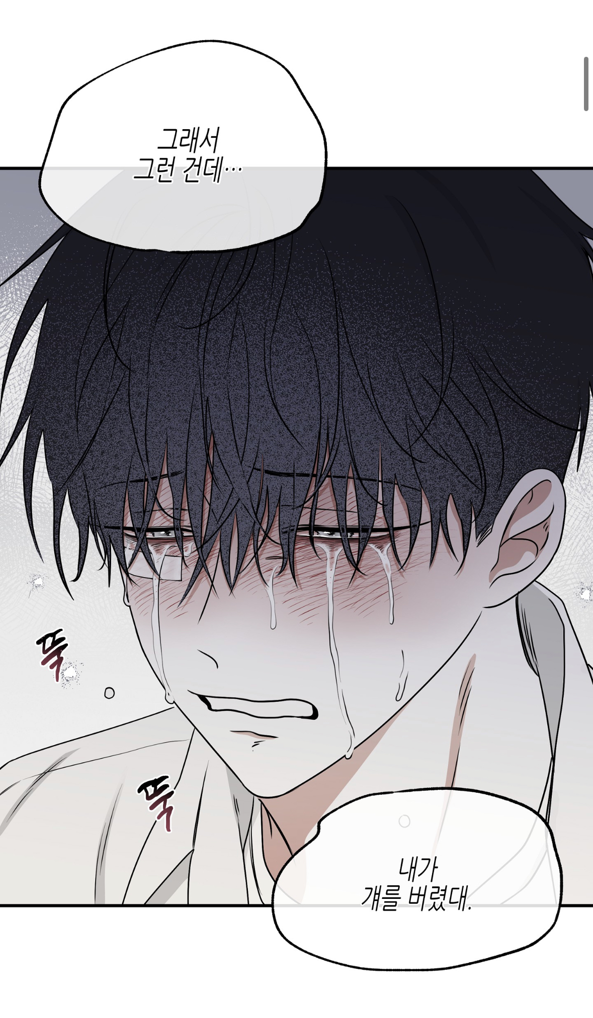 투디갤 - 웹툰 - 물밤 의현이 미인수라고 생각한적 없었는데