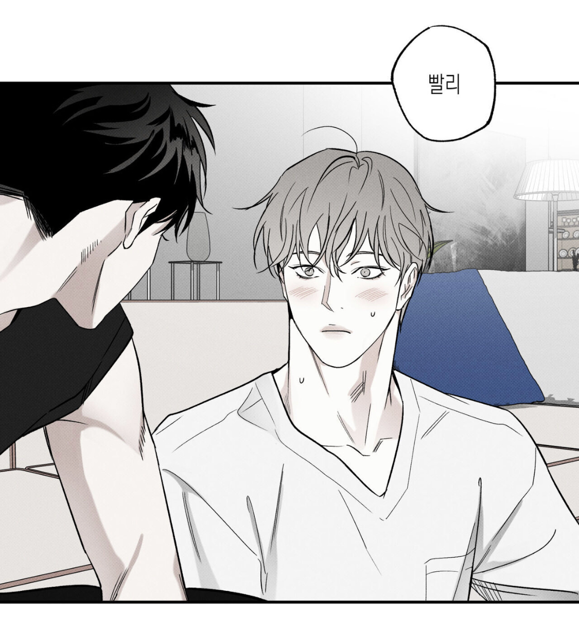 투디갤 - 웹툰 - 내취향 공들 공통점이 뭔거같냐 투디갤 - 웹툰 - 내취향 공들 공통점이 뭔거같냐