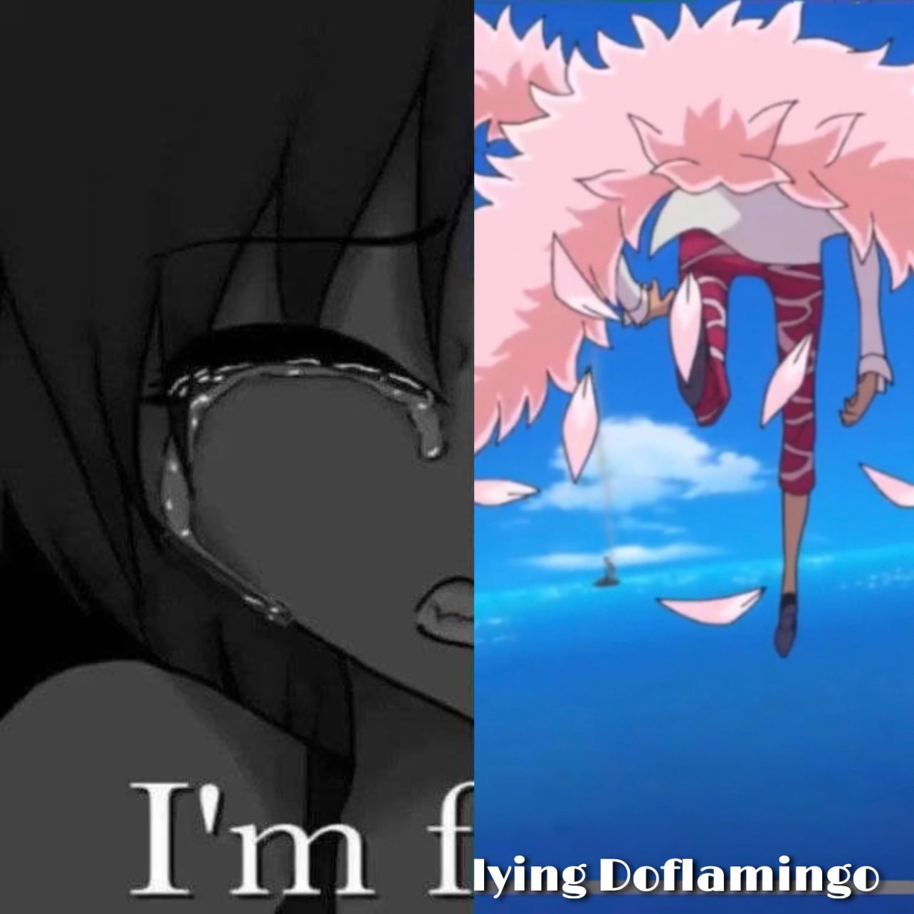 투디갤 - I'm Flying Doflamingo