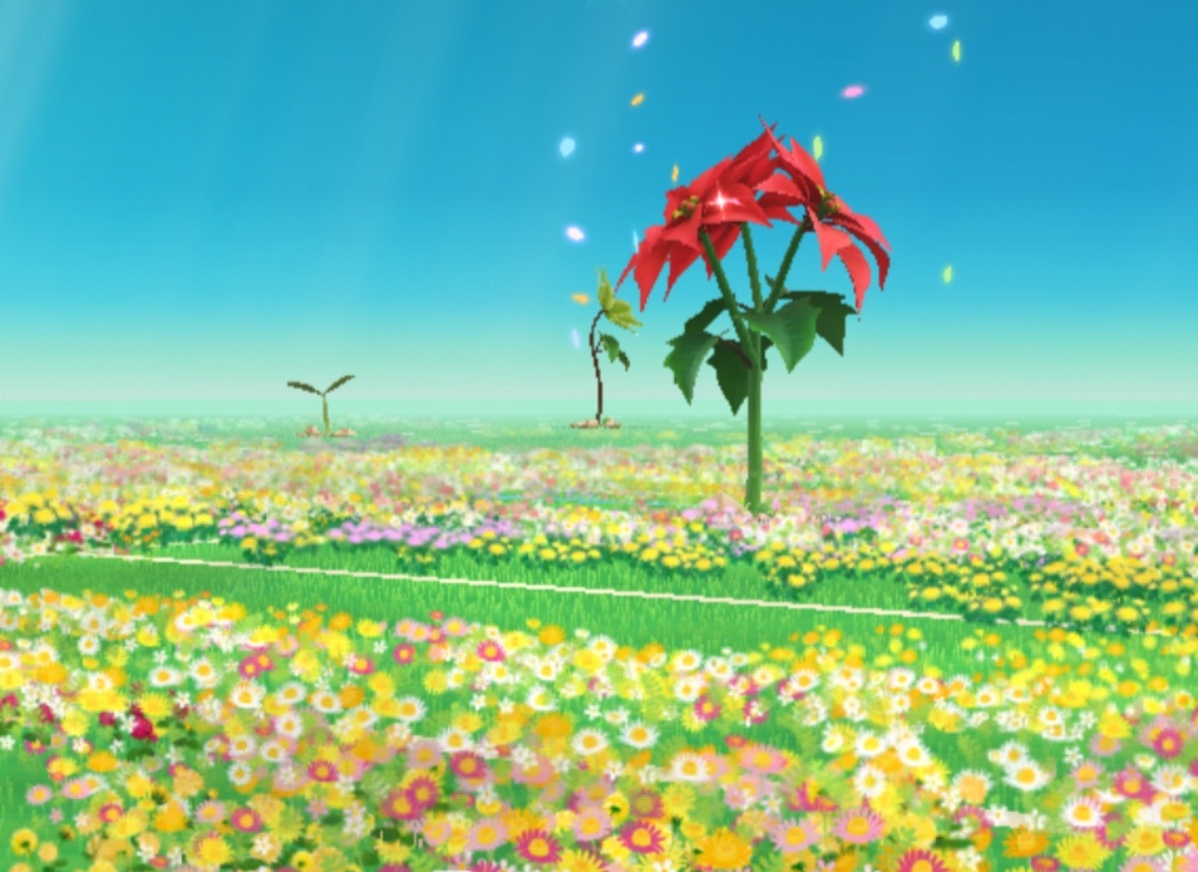 Screenshot_20241105-172654_Pikmin Bloom.jpg