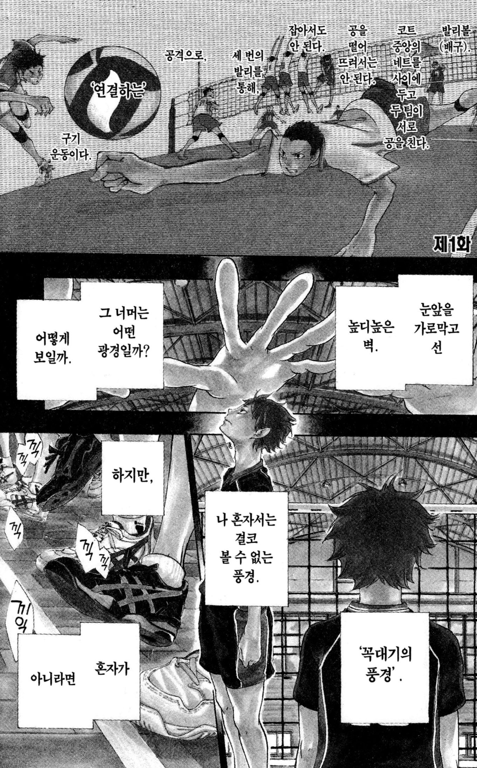 투디갤 - 하이큐 수미상관 엔딩