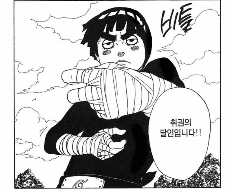 투디갤 - 록리 취권 실화냐